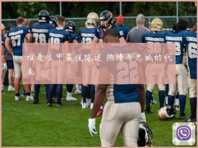 谁是法甲最佳球迷 热情与忠诚的代表