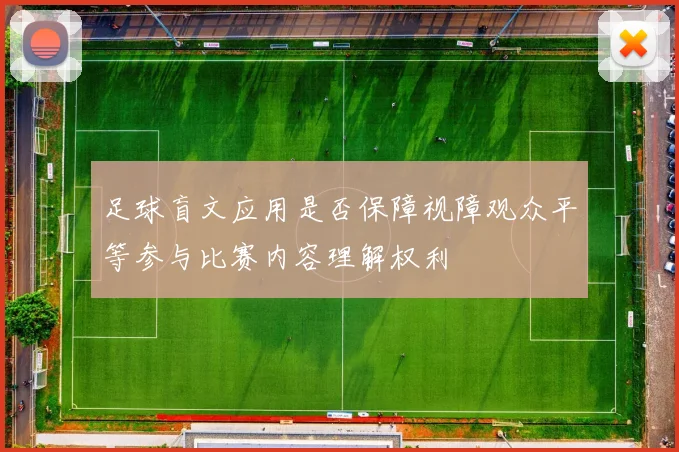 足球盲文应用是否保障视障观众平等参与比赛内容理解权利