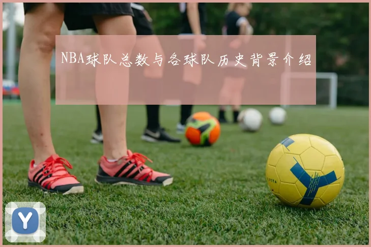 NBA球队总数与各球队历史背景介绍