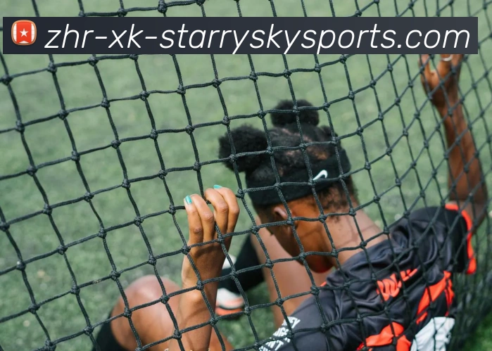 星空体育APP 封面图